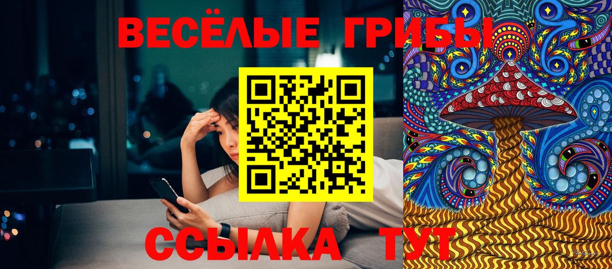 Галлюциногенные грибы Cubensis Октябрьский