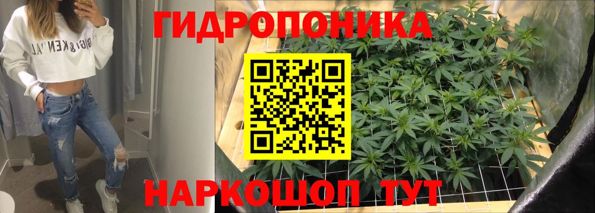Октябрьский  Конопля OG Kush  Вход с VPN  Бошки марихуана гибрид 